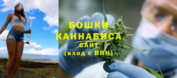 apvp Новозыбков