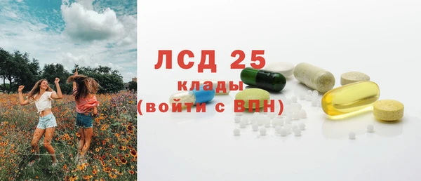 тгк Новодвинск
