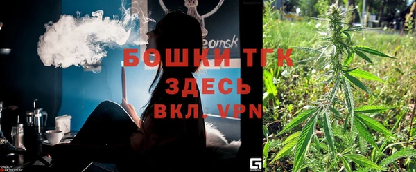 тгк Новодвинск