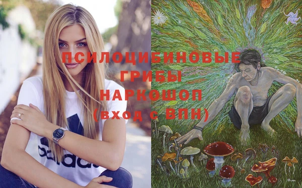apvp Новозыбков
