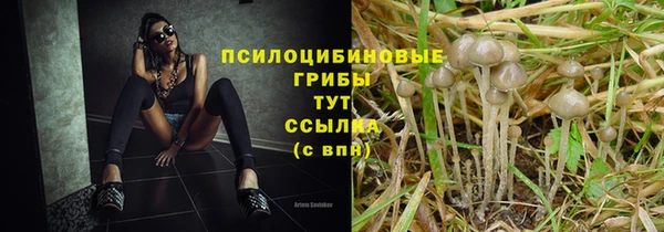 прущий лед Новокубанск