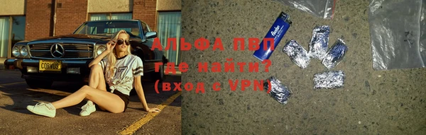 тгк Новодвинск