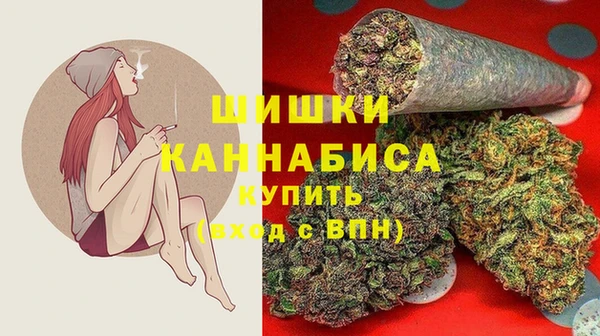 тгк Новодвинск