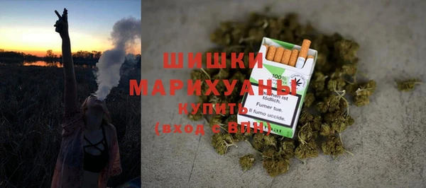 тгк Новодвинск