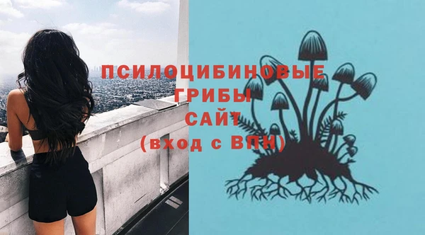 тгк Новодвинск