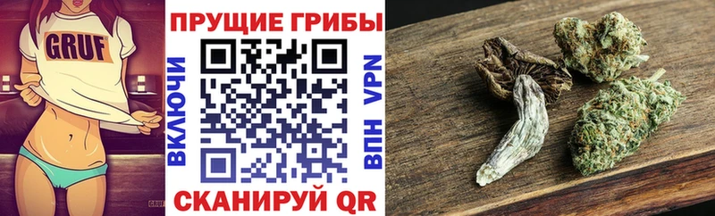 Псилоцибиновые грибы Psilocybe  где можно купить наркотик  Пушкино 