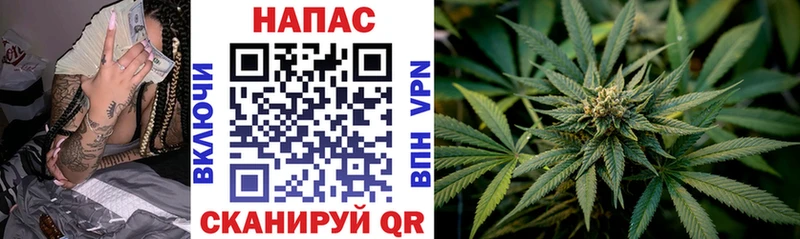 Конопля гибрид Пушкино